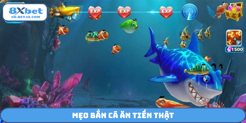 Mẹo bắn cá ăn tiền thật